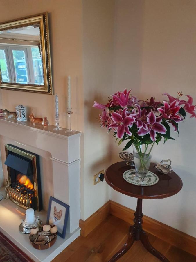 The Croft Guest House Narberth Exteriér fotografie